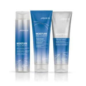 Joico Moisture Recovery